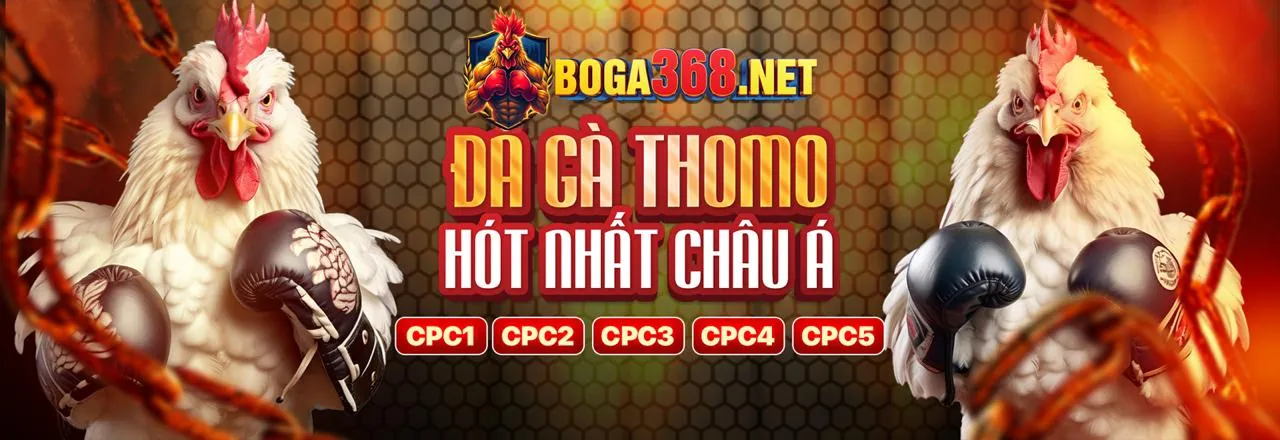 Sân đấu đá gà trực tuyến Lovebet